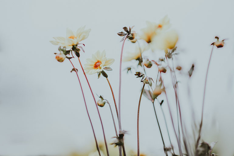 Frauenarzt Graz - Gynäkologie Graz - Pränataldiagnostik Graz