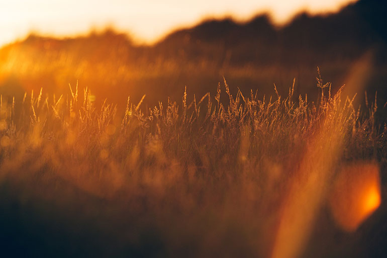 Frauenarzt Graz privat - Gynäkologie Graz - Spirale Verhütung